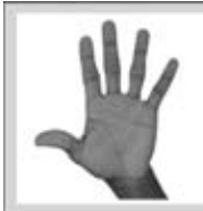 This user is left-handed