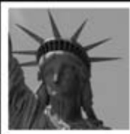 This user does not begrudge illegal immigrants and supports their right to immigrate undocumented